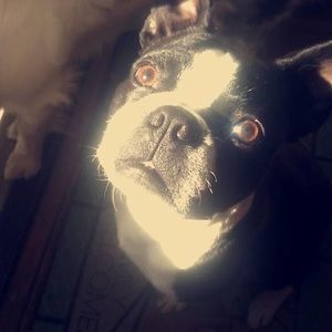 Meet your Posher, Stacie